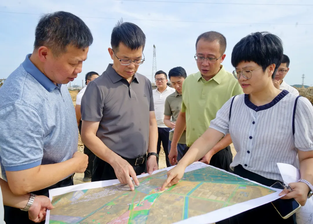 泉港区政府主要领导带队调研土地综合整治工作